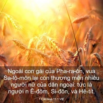 Picture 03 - 1 Các Vua 11:1 VIE - Ngoài con gái của Pha-ra-ôn, vua Sa-lô-môn - Bible Verse Picture