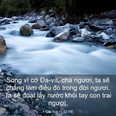 Picture 03 - 1 Các Vua 11:12 VIE - Song vì cớ Đa-vít, cha ngươi, ta sẽ - Bible Verse Picture