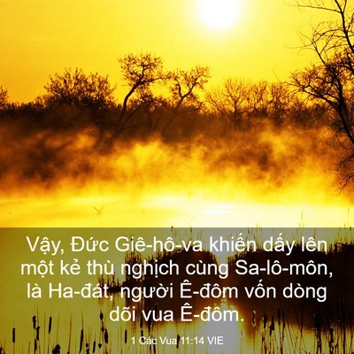 Picture 03 - 1 Các Vua 11:14 VIE - Vậy, Đức Giê-hô-va khiến dấy lên - Bible Verse Picture