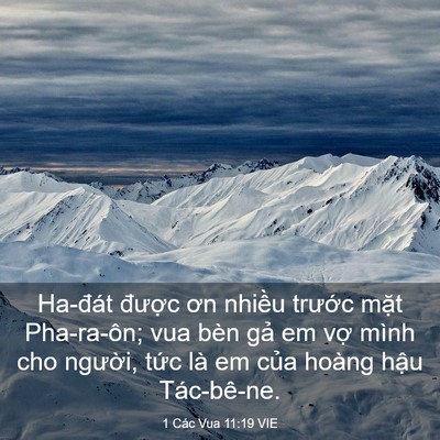 Picture 03 - 1 Các Vua 11:19 VIE - Ha-đát được ơn nhiều trước mặt - Bible Verse Picture