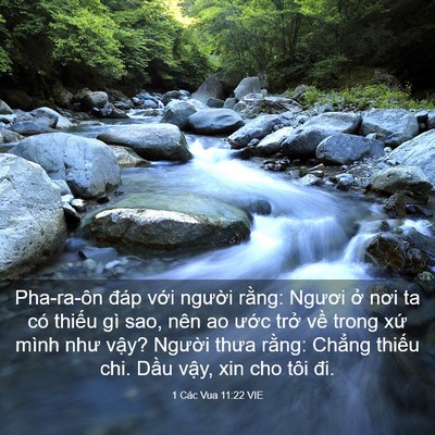 Picture 03 - 1 Các Vua 11:22 VIE - Pha-ra-ôn đáp với người rằng: Ngươi - Bible Verse Picture
