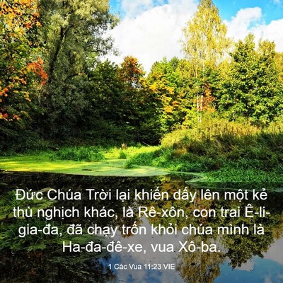 Picture 03 - 1 Các Vua 11:23 VIE - Đức Chúa Trời lại khiến dấy lên - Bible Verse Picture