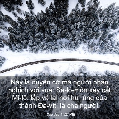 Picture 03 - 1 Các Vua 11:27 VIE - Này là duyên cớ mà người phản nghịch - Bible Verse Picture