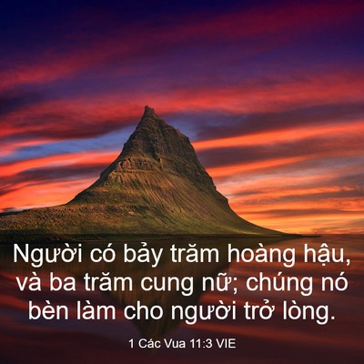 Picture 03 - 1 Các Vua 11:3 VIE - Người có bảy trăm hoàng hậu, và ba - Bible Verse Picture
