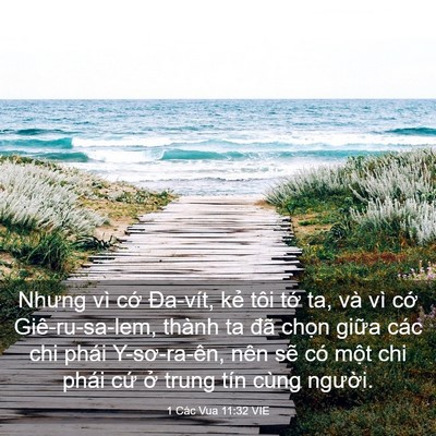 Picture 03 - 1 Các Vua 11:32 VIE - Nhưng vì cớ Đa-vít, kẻ tôi tớ ta, và - Bible Verse Picture