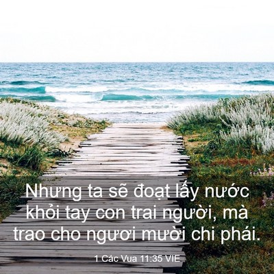 Picture 03 - 1 Các Vua 11:35 VIE - Nhưng ta sẽ đoạt lấy nước khỏi tay - Bible Verse Picture