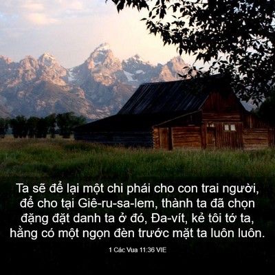 Picture 03 - 1 Các Vua 11:36 VIE - Ta sẽ để lại một chi phái cho con trai - Bible Verse Picture