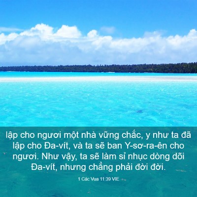 Picture 03 - 1 Các Vua 11:39 VIE - lập cho ngươi một nhà vững chắc, y - Bible Verse Picture