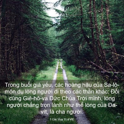 Picture 03 - 1 Các Vua 11:4 VIE - Trong buổi già yếu, các hoàng hậu của - Bible Verse Picture