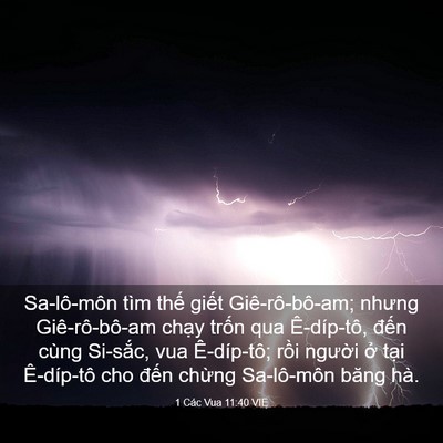 Picture 03 - 1 Các Vua 11:40 VIE - Sa-lô-môn tìm thế giết Giê-rô-bô-am; - Bible Verse Picture