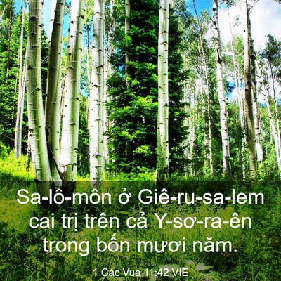 Picture 03 - 1 Các Vua 11:42 VIE - Sa-lô-môn ở Giê-ru-sa-lem cai trị trên - Bible Verse Picture