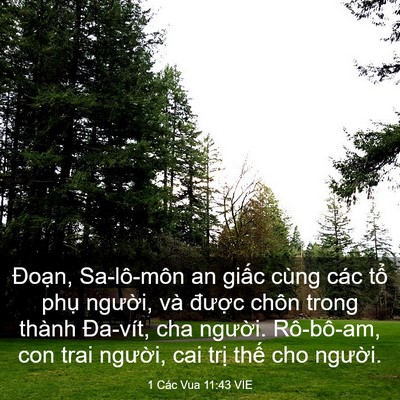 Picture 03 - 1 Các Vua 11:43 VIE - Đoạn, Sa-lô-môn an giấc cùng các tổ - Bible Verse Picture