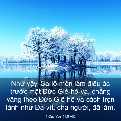 Picture 03 - 1 Các Vua 11:6 VIE - Như vậy, Sa-lô-môn làm điều ác trước - Bible Verse Picture