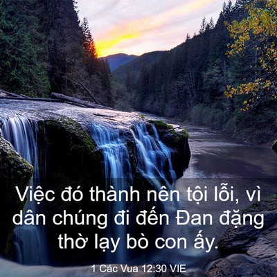 Picture 03 - 1 Các Vua 12:30 VIE - Việc đó thành nên tội lỗi, vì dân - Bible Verse Picture