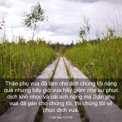 Picture 03 - 1 Các Vua 12:4 VIE - Thân phụ vua đã làm cho ách chúng tôi - Bible Verse Picture