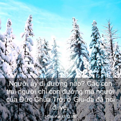 Picture 03 - 1 Các Vua 13:12 VIE - Người ấy đi đường nào? Các con trai - Bible Verse Picture