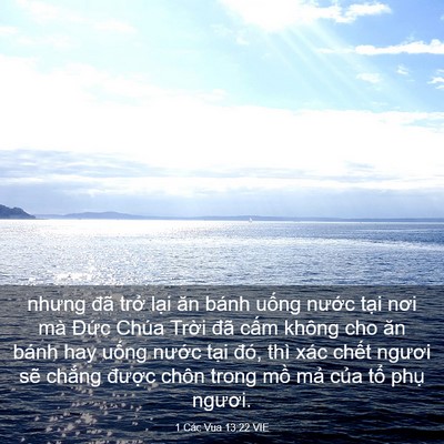 Picture 03 - 1 Các Vua 13:22 VIE - nhưng đã trở lại ăn bánh uống nước - Bible Verse Picture