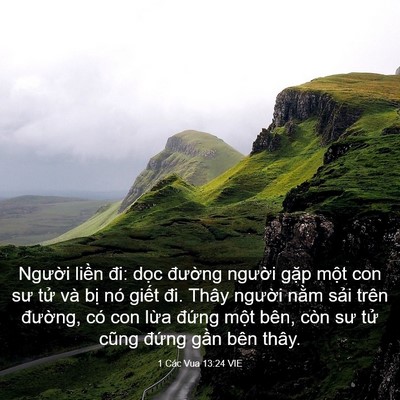 Picture 03 - 1 Các Vua 13:24 VIE - Người liền đi: dọc đường người - Bible Verse Picture