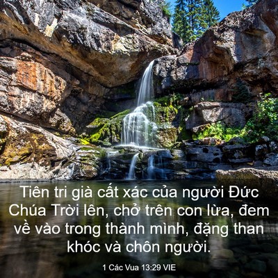 Picture 03 - 1 Các Vua 13:29 VIE - Tiên tri già cất xác của người Đức - Bible Verse Picture
