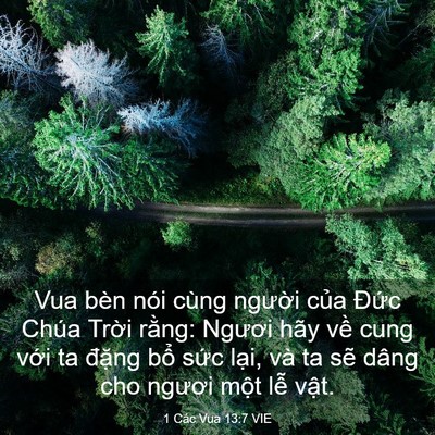 Picture 03 - 1 Các Vua 13:7 VIE - Vua bèn nói cùng người của Đức Chúa - Bible Verse Picture