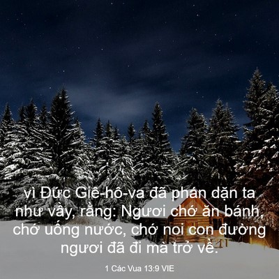 Picture 03 - 1 Các Vua 13:9 VIE - vì Đức Giê-hô-va đã phán dặn ta như - Bible Verse Picture