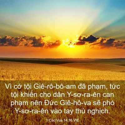 Picture 03 - 1 Các Vua 14:16 VIE - Vì cớ tội Giê-rô-bô-am đã phạm, tức - Bible Verse Picture