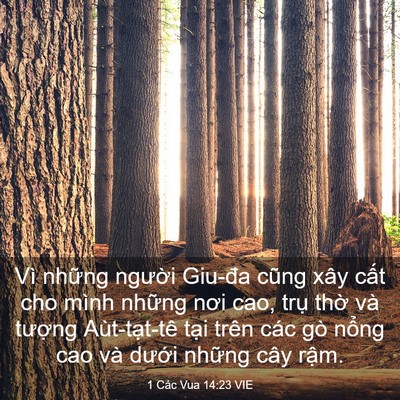 Picture 03 - 1 Các Vua 14:23 VIE - Vì những người Giu-đa cũng xây cất cho - Bible Verse Picture
