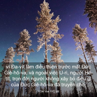 Picture 03 - 1 Các Vua 15:5 VIE - vì Đa-vít làm điều thiện trước mặt - Bible Verse Picture