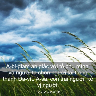 Picture 03 - 1 Các Vua 15:8 VIE - A-bi-giam an giấc với tổ phụ mình, và - Bible Verse Picture