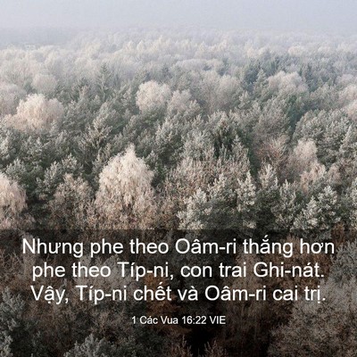 Picture 03 - 1 Các Vua 16:22 VIE - Nhưng phe theo Oâm-ri thắng hơn phe theo - Bible Verse Picture
