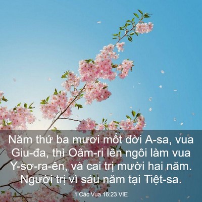 Picture 03 - 1 Các Vua 16:23 VIE - Năm thứ ba mươi mốt đời A-sa, vua - Bible Verse Picture