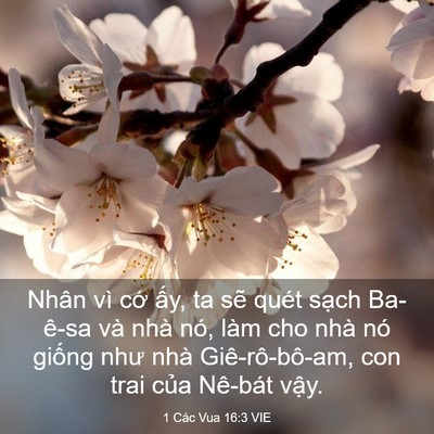 Picture 03 - 1 Các Vua 16:3 VIE - Nhân vì cớ ấy, ta sẽ quét sạch - Bible Verse Picture