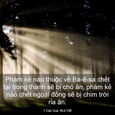 Picture 03 - 1 Các Vua 16:4 VIE - Phàm kẻ nào thuộc về Ba-ê-sa chết - Bible Verse Picture