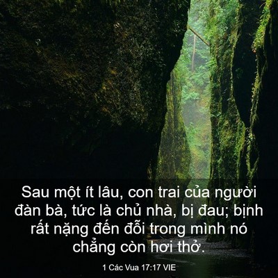 Picture 03 - 1 Các Vua 17:17 VIE - Sau một ít lâu, con trai của người đàn - Bible Verse Picture