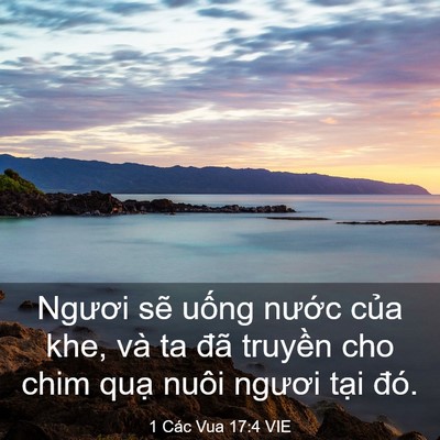 Picture 03 - 1 Các Vua 17:4 VIE - Ngươi sẽ uống nước của khe, và ta - Bible Verse Picture