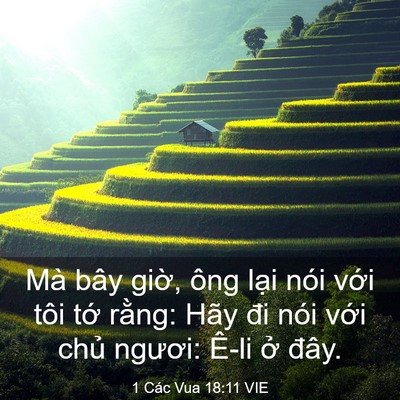 Picture 03 - 1 Các Vua 18:11 VIE - Mà bây giờ, ông lại nói với tôi tớ - Bible Verse Picture