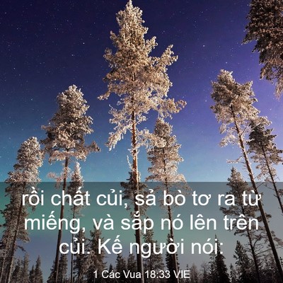 Picture 03 - 1 Các Vua 18:33 VIE - rồi chất củi, sả bò tơ ra từ miếng, - Bible Verse Picture