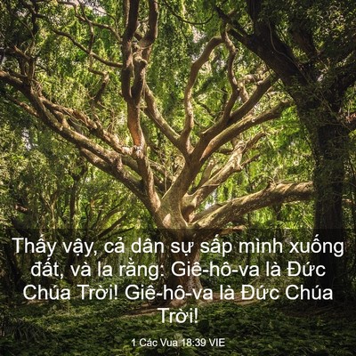 Picture 03 - 1 Các Vua 18:39 VIE - Thấy vậy, cả dân sự sấp mình xuống - Bible Verse Picture