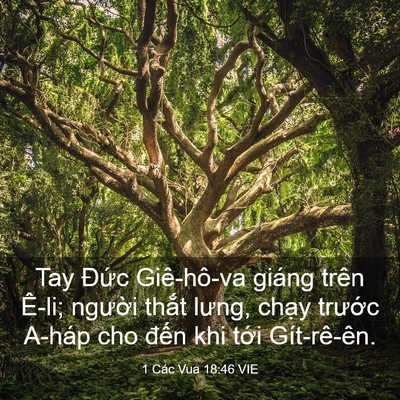 Picture 03 - 1 Các Vua 18:46 VIE - Tay Đức Giê-hô-va giáng trên Ê-li; - Bible Verse Picture