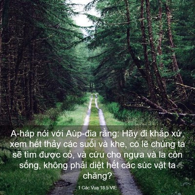 Picture 03 - 1 Các Vua 18:5 VIE - A-háp nói với Aùp-đia rằng: Hãy đi - Bible Verse Picture
