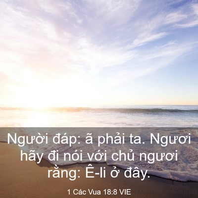 Picture 03 - 1 Các Vua 18:8 VIE - Người đáp: ã phải ta. Ngươi hãy đi - Bible Verse Picture