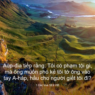 Picture 03 - 1 Các Vua 18:9 VIE - Aùp-đia tiếp rằng: Tôi có phạm tội - Bible Verse Picture