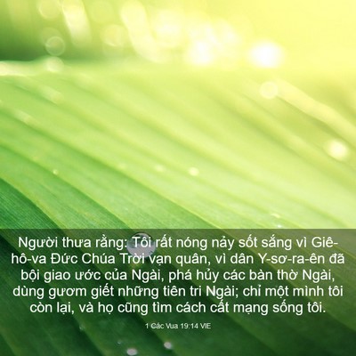 Picture 03 - 1 Các Vua 19:14 VIE - Người thưa rằng: Tôi rất nóng nảy - Bible Verse Picture