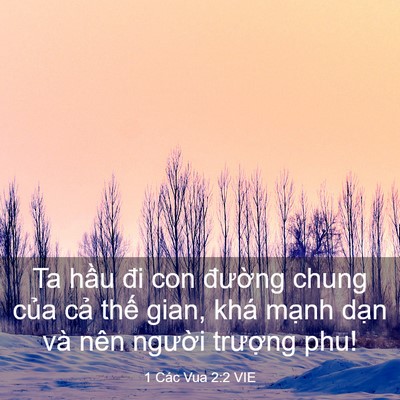 Picture 03 - 1 Các Vua 2:2 VIE - Ta hầu đi con đường chung của cả thế - Bible Verse Picture