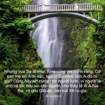 Picture 03 - 1 Các Vua 2:22 VIE - Nhưng vua Sa-lô-môn thưa cùng mẹ mình - Bible Verse Picture