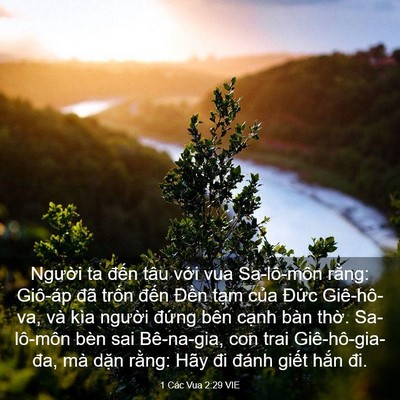 Picture 03 - 1 Các Vua 2:29 VIE - Người ta đến tâu với vua Sa-lô-môn - Bible Verse Picture