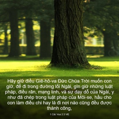 Picture 03 - 1 Các Vua 2:3 VIE - Hãy giữ điều Giê-hô-va Đức Chúa - Bible Verse Picture