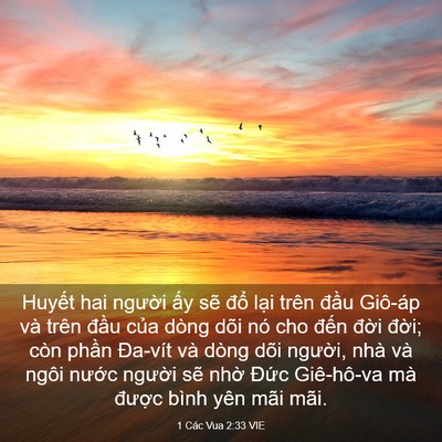 Picture 03 - 1 Các Vua 2:33 VIE - Huyết hai người ấy sẽ đổ lại trên - Bible Verse Picture