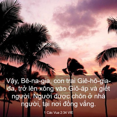 Picture 03 - 1 Các Vua 2:34 VIE - Vậy, Bê-na-gia, con trai Giê-hô-gia-đa, - Bible Verse Picture