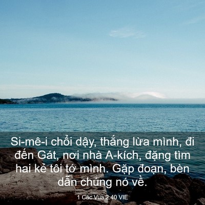 Picture 03 - 1 Các Vua 2:40 VIE - Si-mê-i chổi dậy, thắng lừa mình, đi - Bible Verse Picture